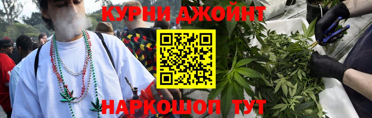 Бошки марихуана планчик  Шишки марихуана MAZAR  Сертолово  Вход с VPN 